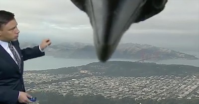 Bird Surprises Weatherman During Live TV Broadcast
