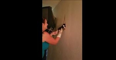 Woman Rescues Baby Kittens Stuck Behind Drywall  