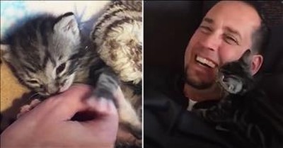 Dog Guy Falls In Love With Foster Kitten 