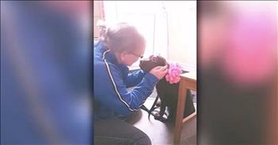 Husband Surprise Wife With Puppy On 40th Birthday 