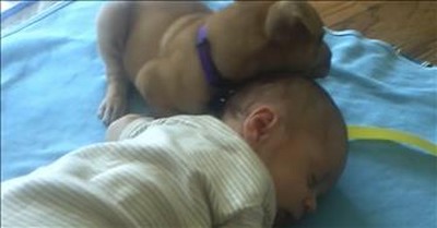 Tired Puppy Falls Asleep With Napping Baby 