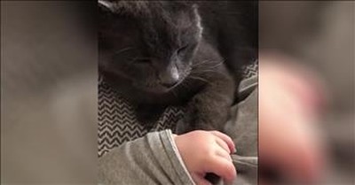 Cat And Baby Hold Hands 