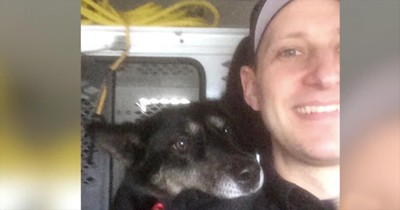 Unadoptable Dog Becomes Hero In Godwink Moment