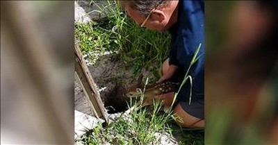 Baby Deer Rescued From Hole In Ground 