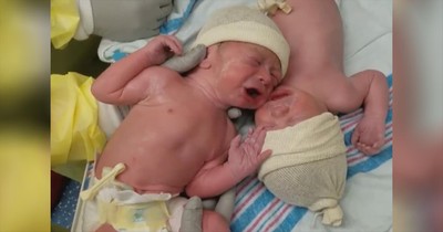 Newborn Twins Stop Crying Once They Are Reunited