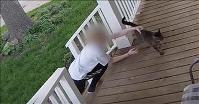 Smart Cat Escapes Attempted Kidnapping 