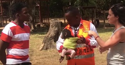 Woman Goes Undercover To Save Baby Chimp 