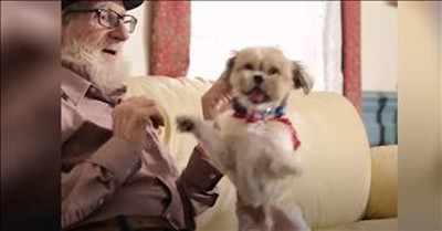 Rescue Dog Comforts Man With Dementia 