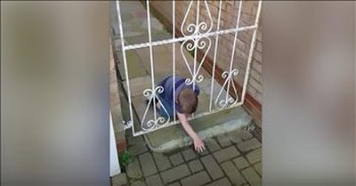 Little Escape Artist Wiggles Through Garden Gate 