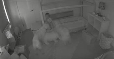 Security Cam Shows Dogs Helping Toddler Escape 