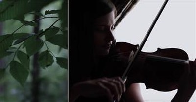 Beautiful Violin Rendition Of 'Be Still My Soul' 