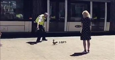 Friendly Cop Helps Mama And Ducklings Cross Busy Street 