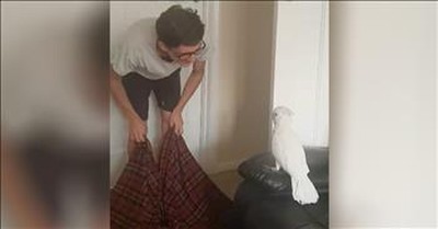Cockatoo Has Funny Reaction To Owner's Disappearing Act 