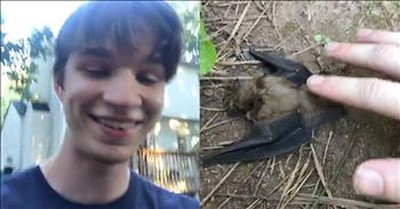 Teen Prays Over Wounded Bat And God Heals Him 