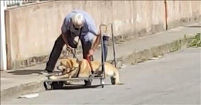 Man Walks Dog Suffering From Bone Cancer 