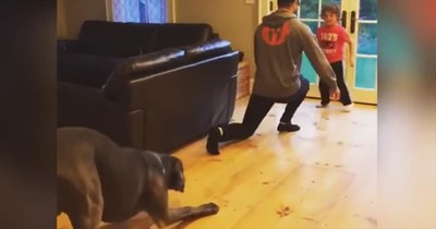 Great Dane Hilariously Tries To Copy Owner's Workout Routine