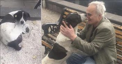 Touching Moment Man Reunited With his Dog Who Was Lost For Three Years 