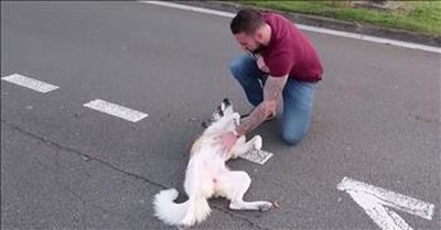 Dog Travels 3,000 Miles to Reunite with Soldier Who Rescued Her 