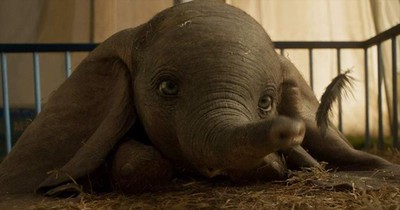 Disney's Live Action 'Dumbo' Official Movie Trailer