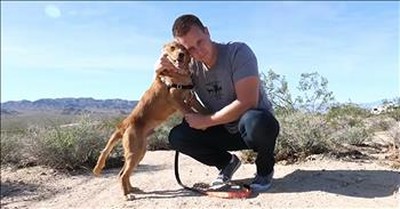 Man Has to Give Up His Golden Retriever And The Reason Is Amazing  