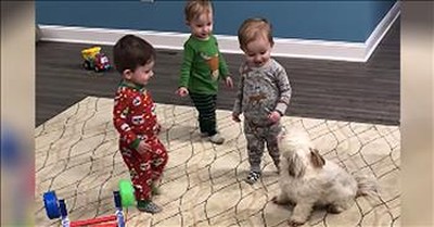 1-Year-Old Triplets Adorably Play With Their Puppy 