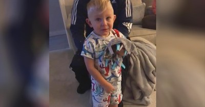 3-Year-Old Is Moved To Tears By Birthday Presents