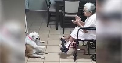 Dog Dances Excitedly While Granny Sings To Him 