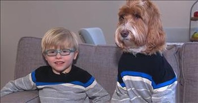 5-Year-Old Adopted Boy And His Dog Dress Alike 