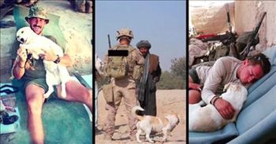Marine And Stray Dog Form Friendship On The Battlefield 