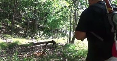 Deer In Forest Is Mesmerized By Man Playing The Flute 