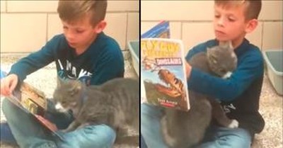 Kind Boy Reads To Cat At Animal Shelter 