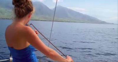 Whales Gather Around Boat When Woman Plays The Violin