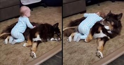 Toddler Serenades Dog With Adorable 'Best Friend' Song 