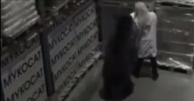 Security Camera Catches Bear Walk Up On Unsuspecting Warehouse Employee  