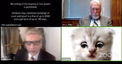 Lawyer Accidentally Uses Kitten Filter For Zoom Court And The Internet Cannot Stop Laughing