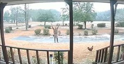UPS Driver And Rooster Have Hilarious Standoff In Driveway 