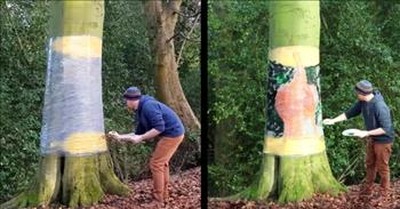 A Man Wrapped a Tree And Started Painting An Incredible Illusion 