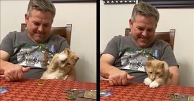 Cat Is Stunned When Owner Spins A Coin 