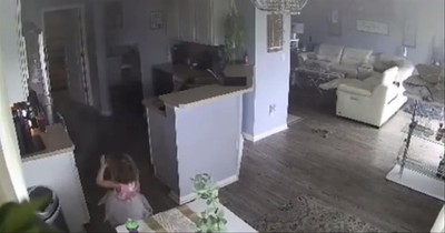 4-Year-Old Saves The Day After Alerting Dad To Air Fryer Fire