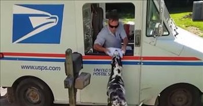 Excited Dog Retrieves Mail From Mail Man 