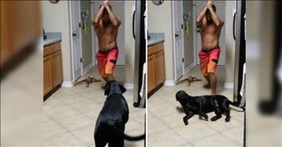 Dramatic Dog Puts On The Best Show With Owner 