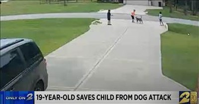 19-Year-Old Rushes To Save Boy From Dog Attack 