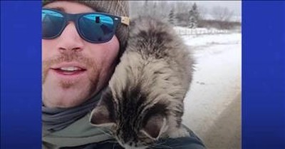 Hiker Saves Freezing Kitten Stranded After Snow Storm 