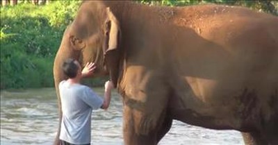 After 14 Months Apart, Caretaker Reunited with Elephant 