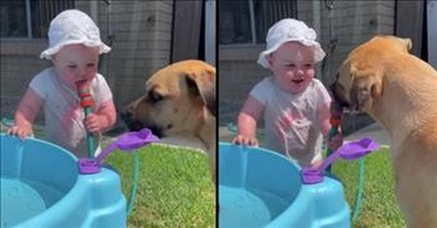 Toddler And Dog Have The Best Time Drinking From The Water Hose 