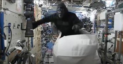 Astronaut Brings A Gorilla Suit Onto The International Space Station 