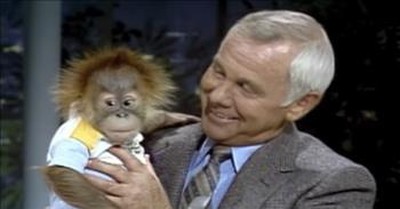 Even Johnny Carson Cannot Get This Baby Orangutan To Crack A Smile 