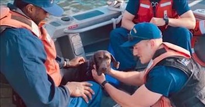 US Coast Guard Rescues Dog That Went Overboard 