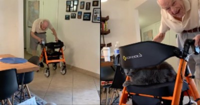 94-Year-Old Grandpa Loves Giving Cat A Ride On His Walker