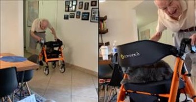 94-Year-Old Grandpa Loves Giving Cat A Ride On His Walker 